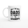 Only the Best Dads Get Promoted to Grandpa | Funny Dad Mug