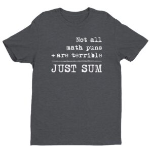 Not All Math Puns Are Terrible Just Sum | Funny Math Teacher T-shirt