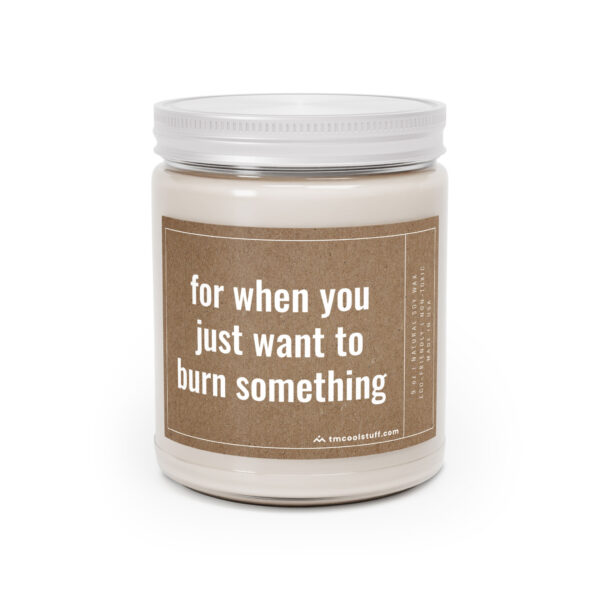 For When You Just Want to Burn Something | Funny Scented Candle