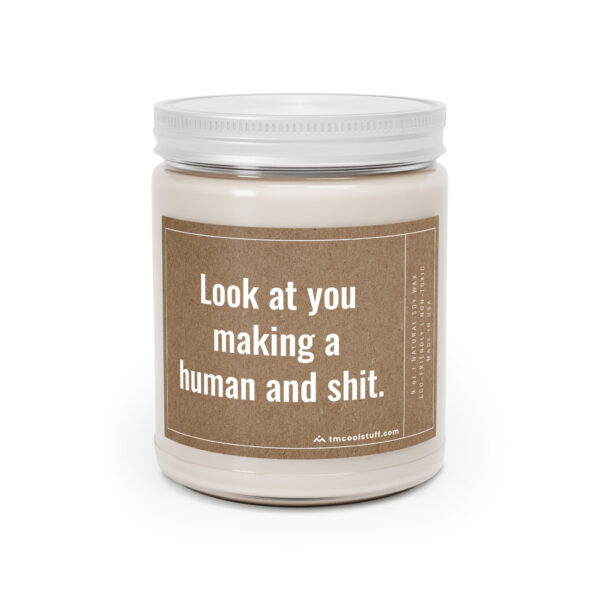 Look at You Making a Human and Shit | Funny Expecting Mom Scented Candle