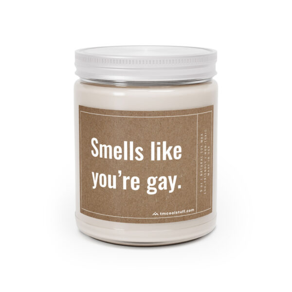 Smells Like You’re Gay | Funny Best Friend Scented Candle