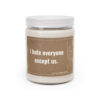 I Hate Everyone Except Us | Funny Love Scented Candle