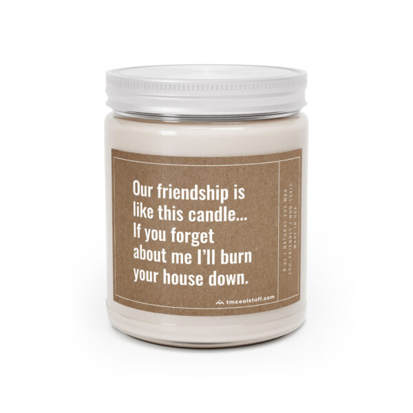 Our Friendship Is Like This Candle... If You Forget About Me, I'll Burn Your House Down | Funny Best Friend Scented Candle