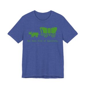 You Have Died of Dysentery | Funny Gaming T-shirt