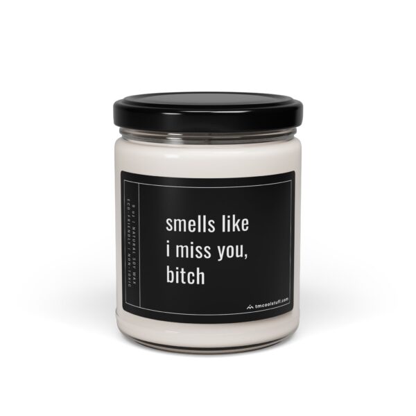 Smells Like I Miss You, Bitch | Funny Best Friend Scented Candle