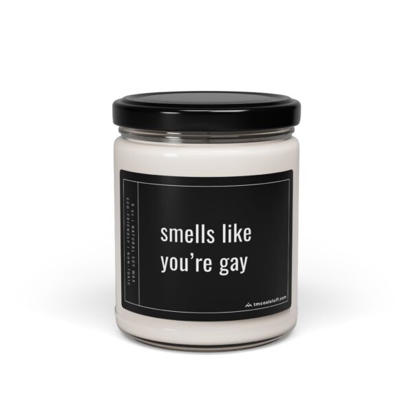 Smells Like You’re Gay | Funny Best Friend Scented Candle