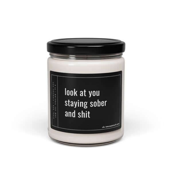 Look at You Staying Sober and Shit | Funny Sober Scented Candle