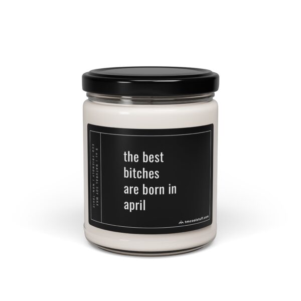 The Best Bitches Are Born in April | Funny April Birthday Gift Scented Candle