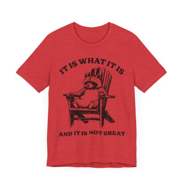 It Is What It Is and It Is Not Great | Funny Raccoon T-shirt