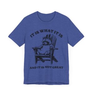 It Is What It Is and It Is Not Great | Funny Raccoon T-shirt