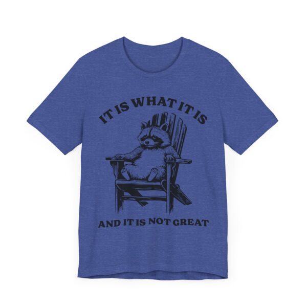 It Is What It Is and It Is Not Great | Funny Raccoon T-shirt