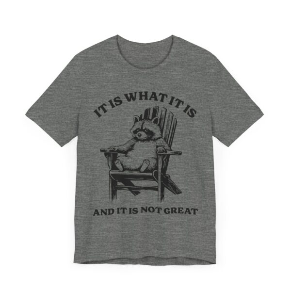 It Is What It Is and It Is Not Great | Funny Raccoon T-shirt