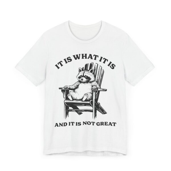 It Is What It Is and It Is Not Great | Funny Raccoon T-shirt