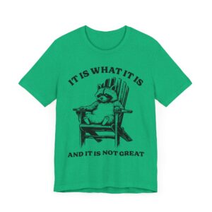 It Is What It Is and It Is Not Great | Funny Raccoon T-shirt