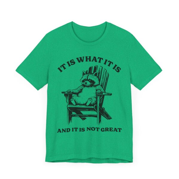 It Is What It Is and It Is Not Great | Funny Raccoon T-shirt