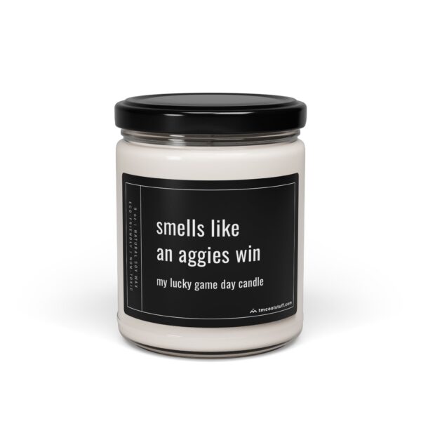 Smells Like an Aggies Win | Funny Texas A&M Aggies Football – Baseball Candle