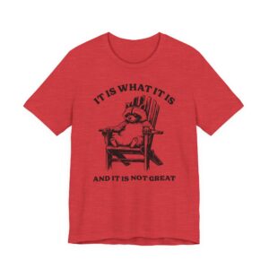 It Is What It Is and It Is Not Great | Funny Raccoon T-shirt