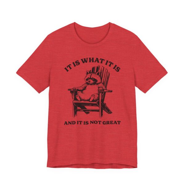 It Is What It Is and It Is Not Great | Funny Raccoon T-shirt