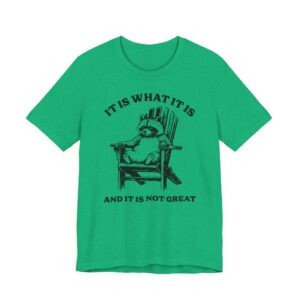 It Is What It Is and It Is Not Great | Funny Raccoon T-shirt