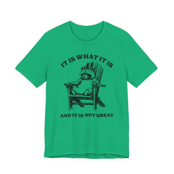 It Is What It Is and It Is Not Great | Funny Raccoon T-shirt