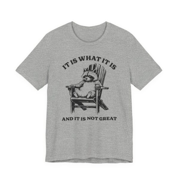 It Is What It Is and It Is Not Great | Funny Raccoon T-shirt