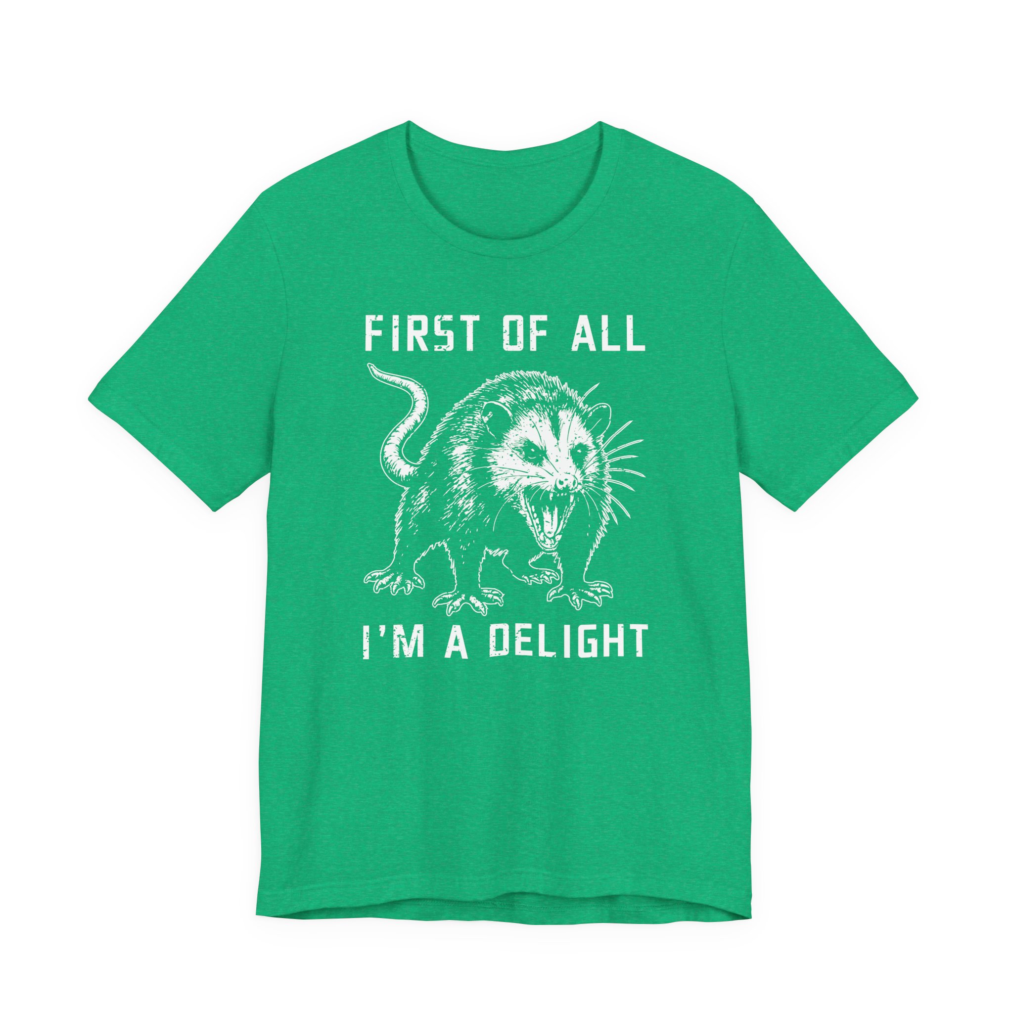 First of All, I'm a Delight | Funny Angry Opossum T-shirt