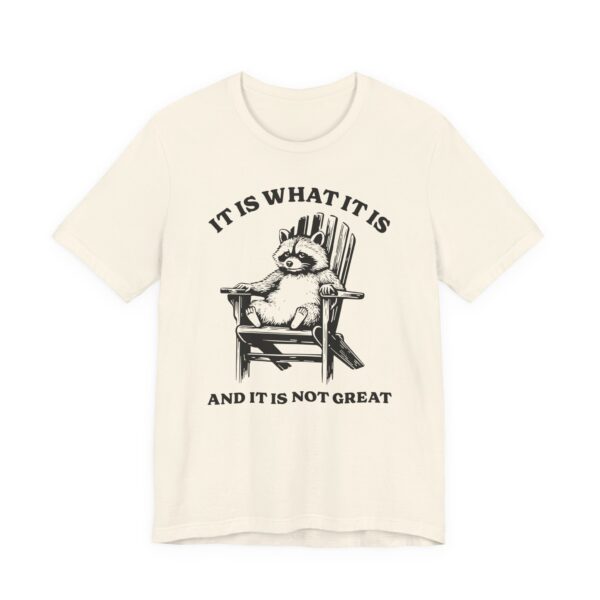 It Is What It Is and It Is Not Great | Funny Raccoon T-shirt