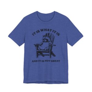 It Is What It Is and It Is Not Great | Funny Raccoon T-shirt