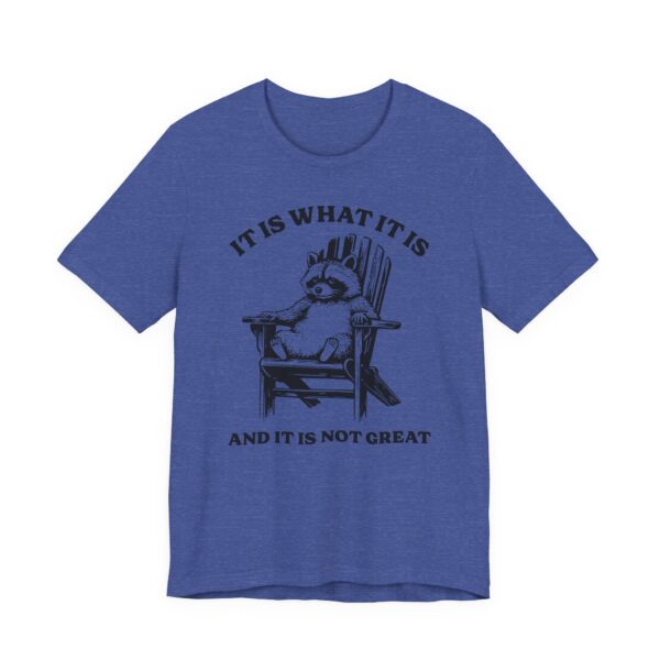 It Is What It Is and It Is Not Great | Funny Raccoon T-shirt