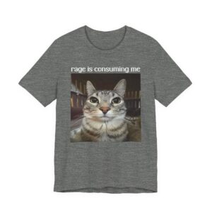 Rage Is Consuming Me | Silly Staring Cat Meme T-Shirt