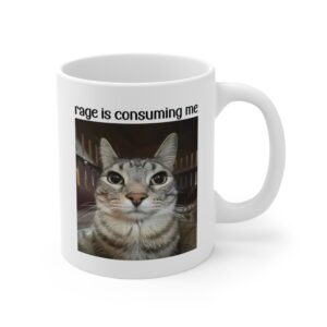Rage Is Consuming Me | Silly Staring Cat Meme Mug