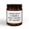 Having Me as a Friend is Really the Only Gift You Need | Funny Best Friend Scented Candle